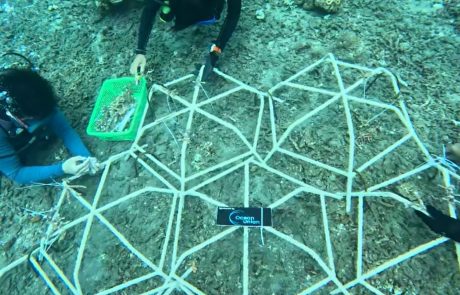 Ocean Union Supports Udayana Basic Expedition 2025 to Strengthen Marine Conservation Efforts in Bali 1