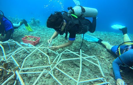 Ocean Union Supports Udayana Basic Expedition 2025 to Strengthen Marine Conservation Efforts in Bali 2