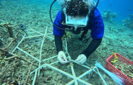 Ocean Union Supports Udayana Basic Expedition 2025 to Strengthen Marine Conservation Efforts in Bali 3