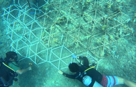 Ocean Union Supports Udayana Basic Expedition 2025 to Strengthen Marine Conservation Efforts in Bali 4